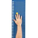 Magnetic Jump And Reach Board