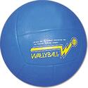 SSG Official Wallyball Ball