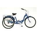 Schwinn 26