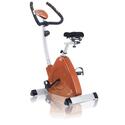 Omega Blue Triangular Upright Exercise Bike