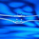 Disposable Nasal Oxygen Cannula