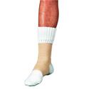 Invacare® Ankle Compression Support