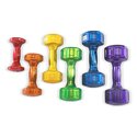Dumbbell Urethane Coated Aerobic Weights (Set of 2)