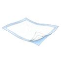 Kenguard Underpad 23 X 36 Bulk