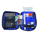 Diapak Classic Diabetic Travel Organizer