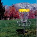 In-Ground Permanent Discatcher®