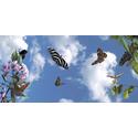 Sky-Scapes Fluorescent Light Diffuser - Butterfly