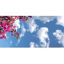 Sky-Scapes Fluorescent Light Diffuser - Flower