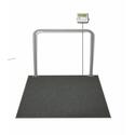 Digital Dialysis Scale