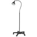 Designer Incandescent Exam Lamp