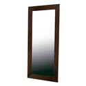 Doniea Dark Brown Wood Frame Modern Mirror Rectangle