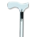 Lucite Cane