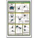 Fitnus Chart -Chest Workout 23
