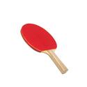 Deluxe Sponge Rubber Paddle