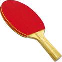 Standard Sponge Rubber Paddle