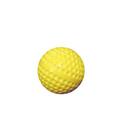 Practice Field Hockey Ball