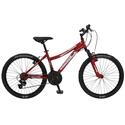 Mongoose 24