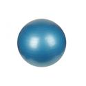 Anti-Burst Gym Ball