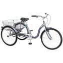 Meridian Adult Trike
