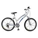 Schwinn 16