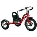 Schwinn Roadster 12