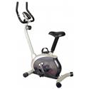 Magnetic Upright Bike