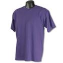 Champion Short Sleeve Tee