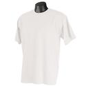 Champion Short Sleeve Tee