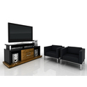Vector Entertainment Center