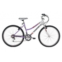 Women's M-50