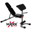 FID Weight Bench with Preacher Curl