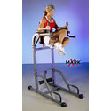 Vertical Knee Raise with Dip Station