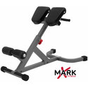 XMark Commercial 45 Degree Ab Back Hyperextension Roman Chair