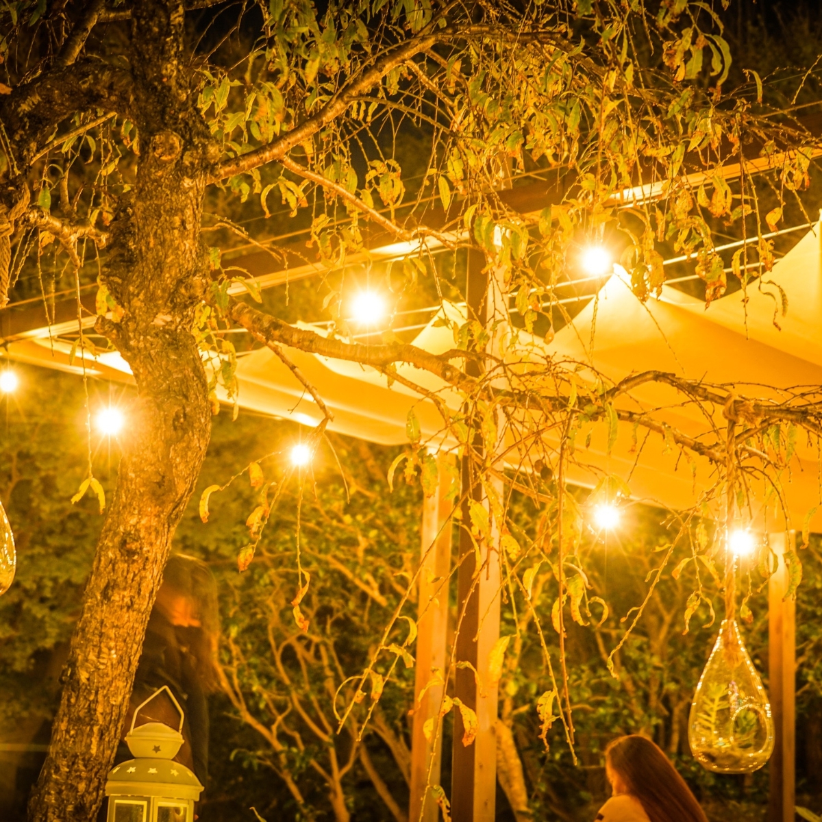 Canopy of string lights creating a magical atmosphere