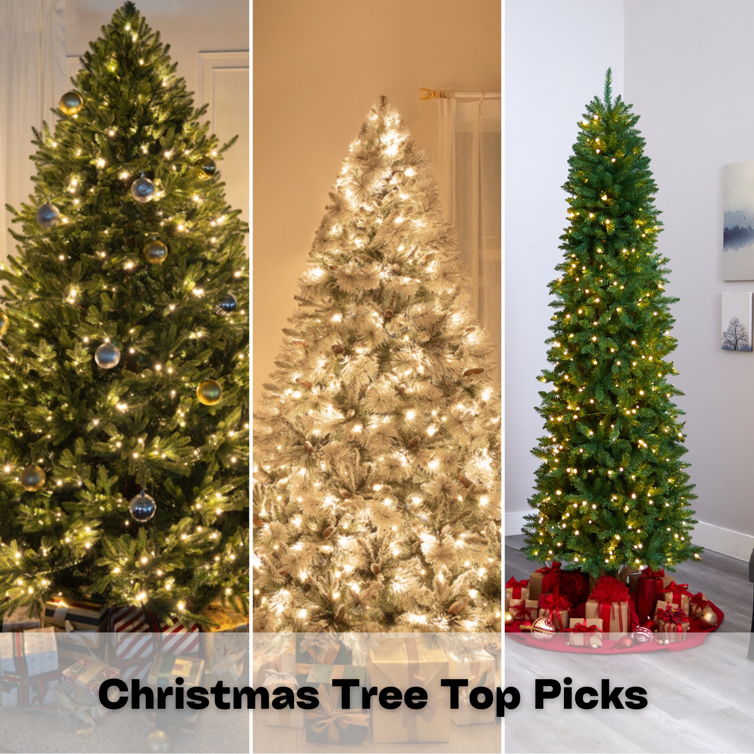 Christmas Tree Top Picks
