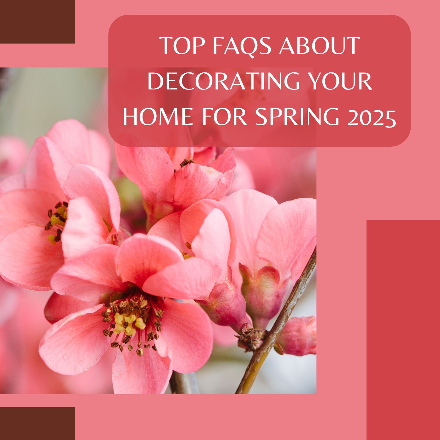 Top FAQs About Decorating Your Home for Spring 2025