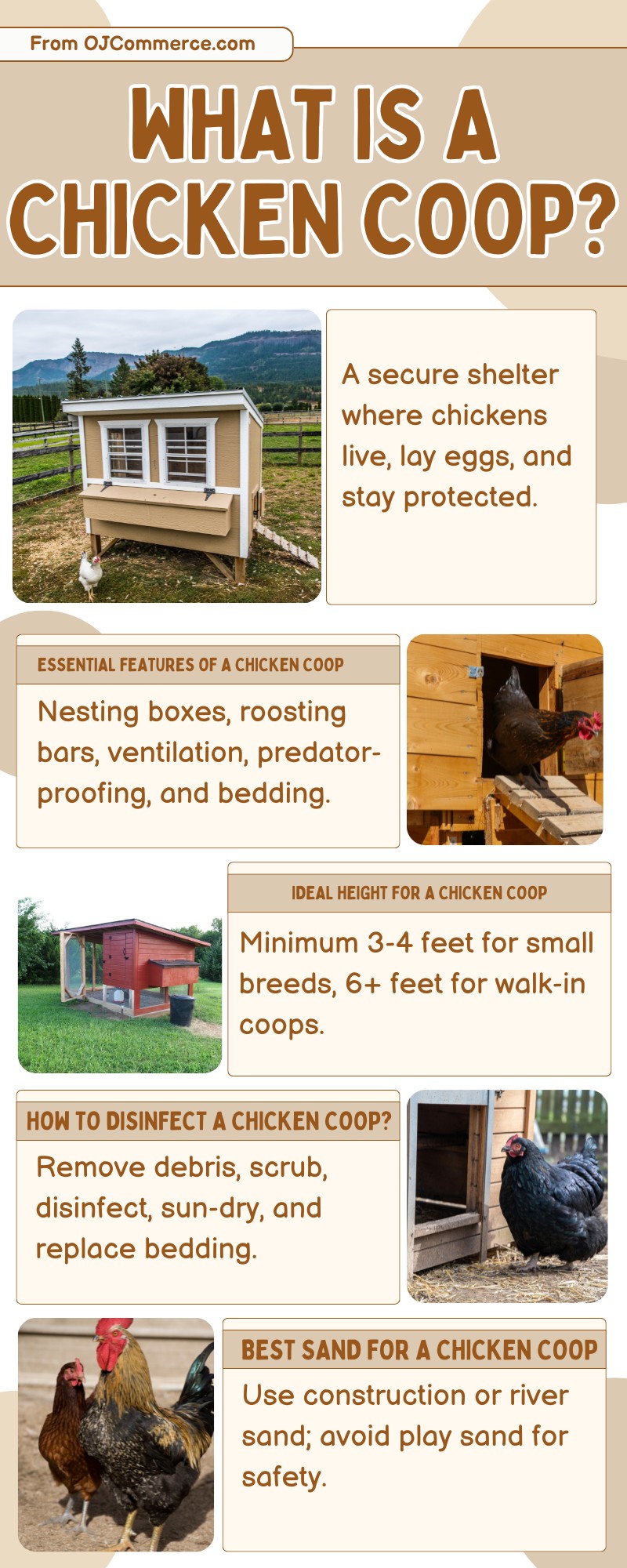 What is a Chicken Coop?