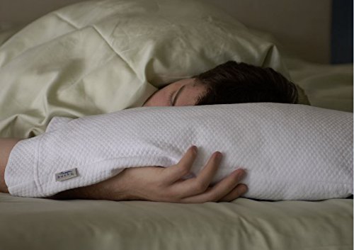 Bucky Duo Buckwheat Millet Travel Bed Pillow 72 0800 Ojcommerce