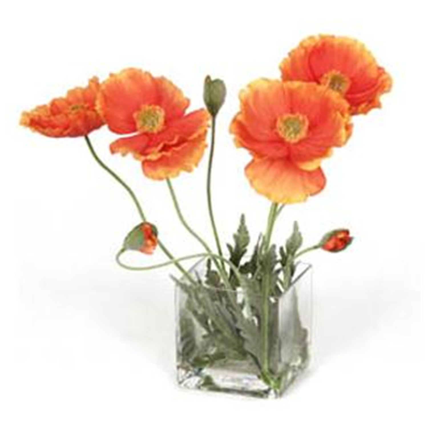 Spanish Poppy Floral Arrangement