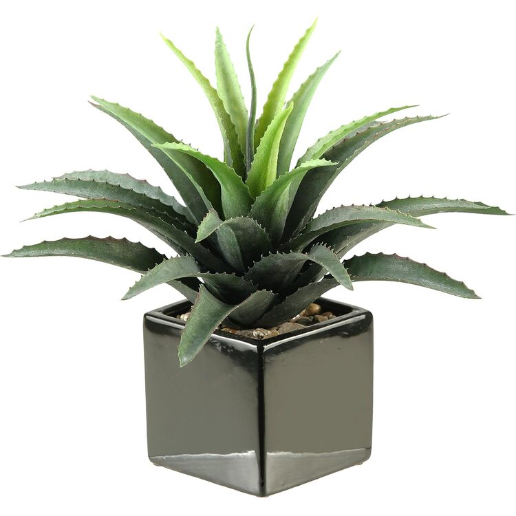 D&W Silks - Star Succulent in Square Ceramic Planter
