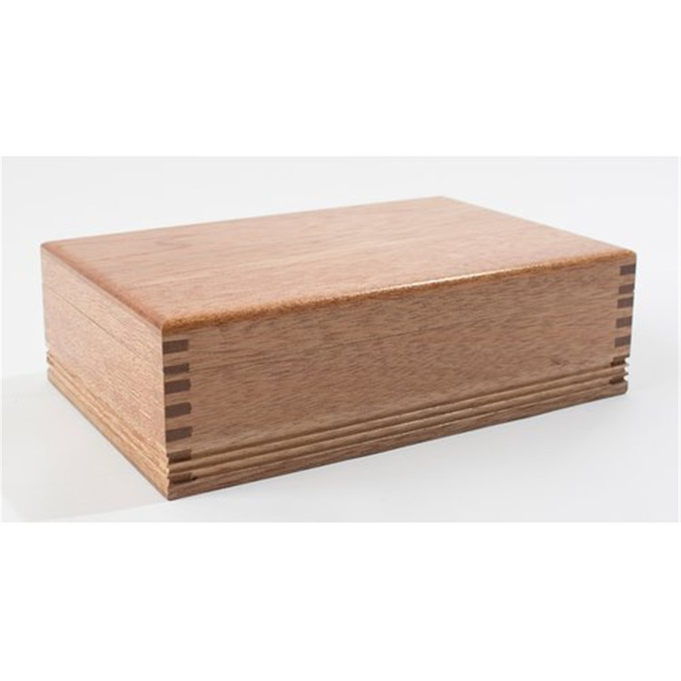 American Chestnut Tree Seeds for Planting, 4 - 6 Tall, Freshly Harvested and Potted - American Chest image - 1