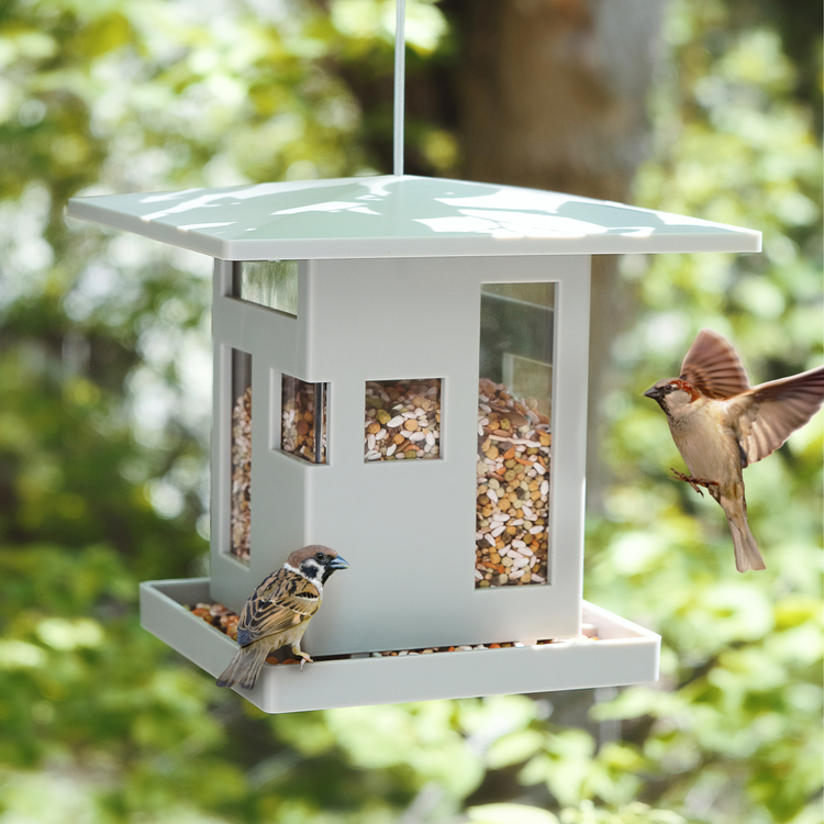 Modern Bird Feeder