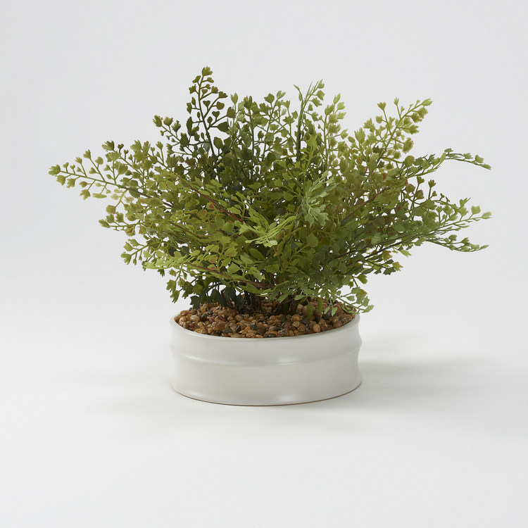 D&W Silks Iron Fern in White Bowl - Home Decor image - 1