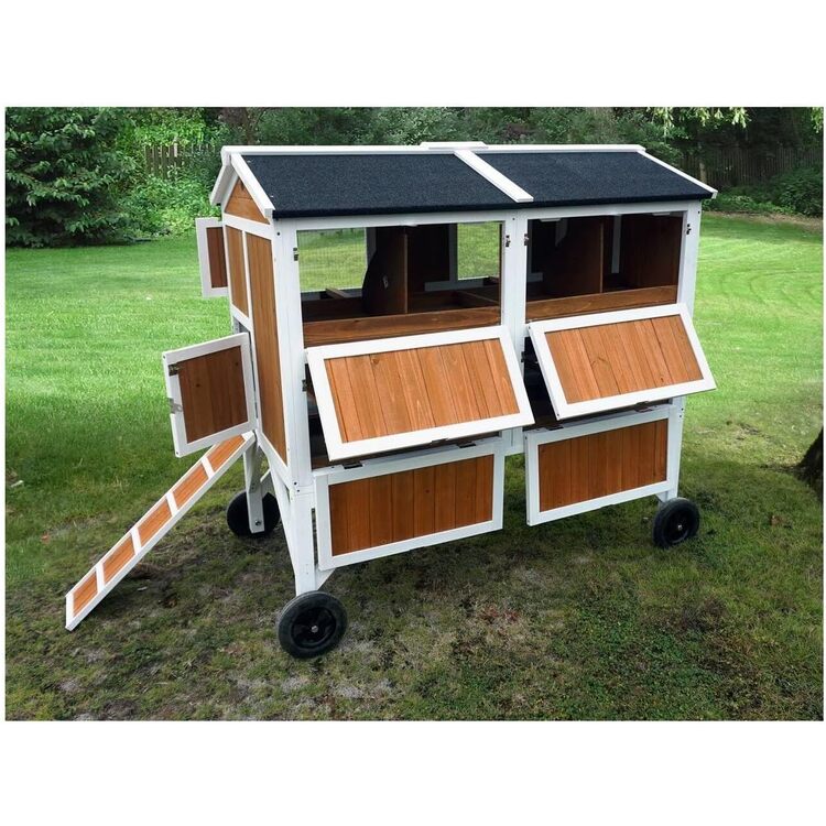 Zoovilla Free-Range Chicken Coop for 8+ Chickens - Coop - Image 4