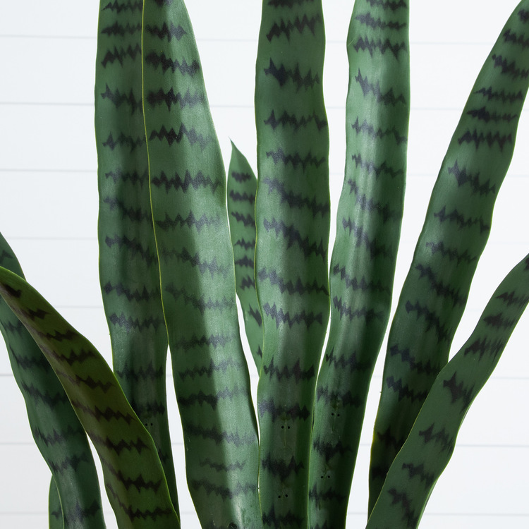 Nearly Natural 5ft. UV Resistant Artificial Sansevieria Plant in White Decorative Planter (Indoor/Outdoor) - Image 3