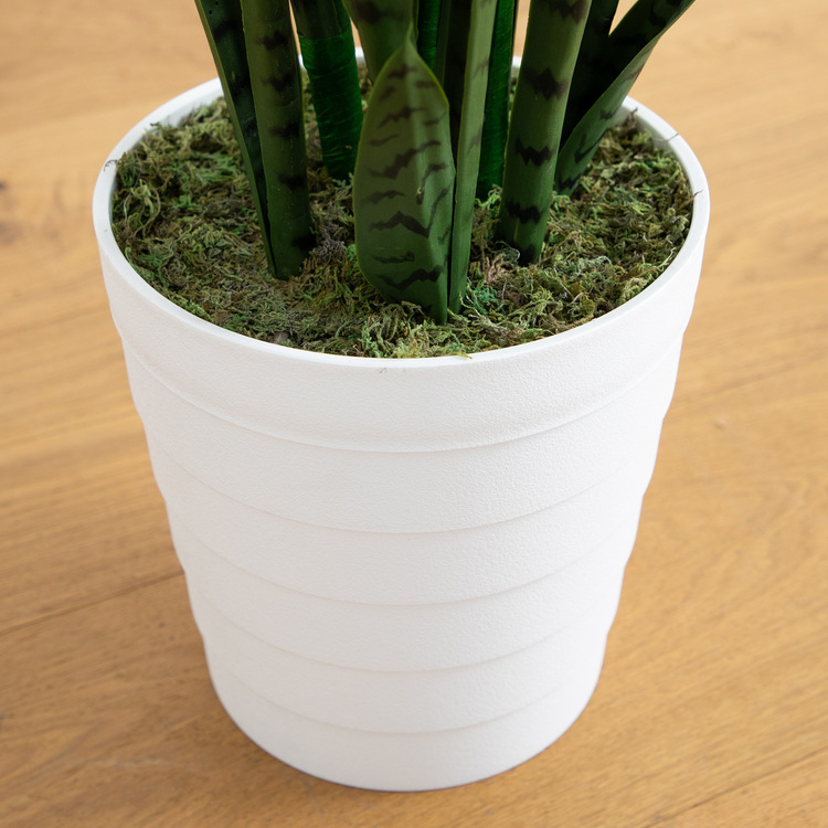 Nearly Natural 5ft. UV Resistant Artificial Sansevieria Plant in White Decorative Planter (Indoor/Outdoor) - Image 4