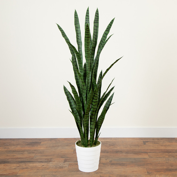Nearly Natural 5ft. UV Resistant Artificial Sansevieria Plant in White Decorative Planter (Indoor/Outdoor) - Image 6