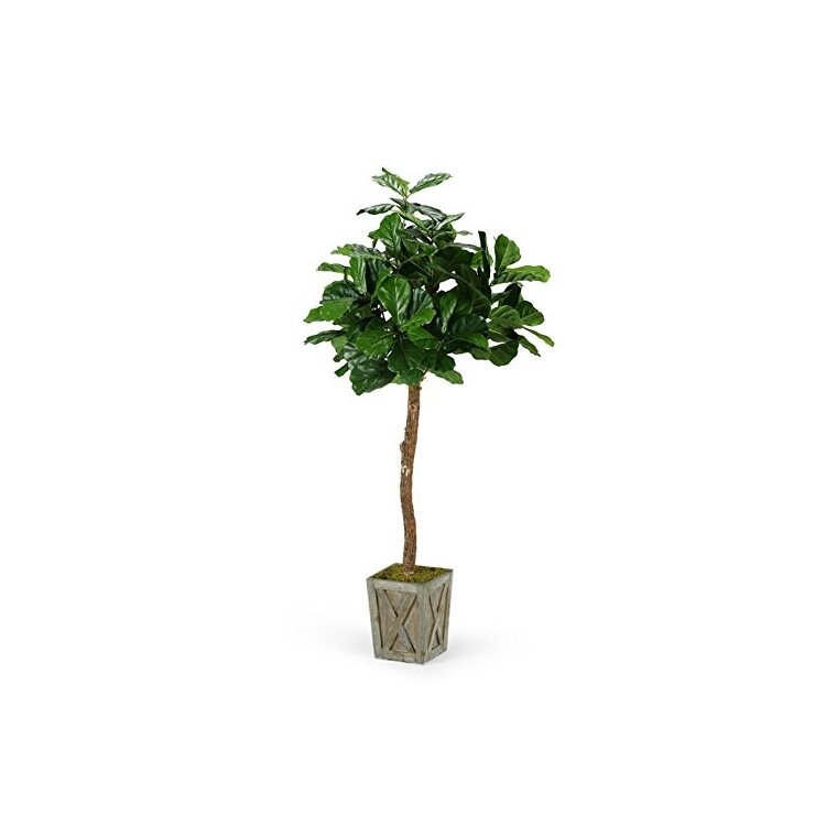 D&W Silks Fiddle Leaf Fig Tree - 6ft with Wood Planter Box - OJCommerce.com