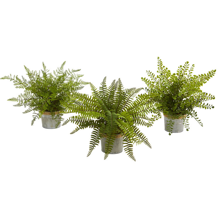 Nearly Natural 14in. Assorted Ferns with Planter Artificial Plant, Set of 3 image - 1