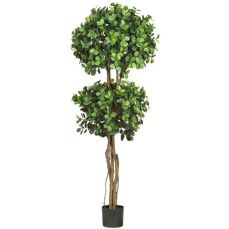Nearly Natural 5.5ft. Eucalyptus Double Ball Topiary Silk Tree image - 1